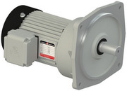 利明齒輪減速電機立式 利明齒輪減速電機立式